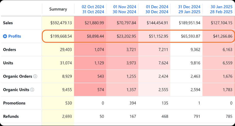Amazon analytics table showing monthly sales growing from $21,880 to $189,951 and profit growing from $8,898 to $65,593.